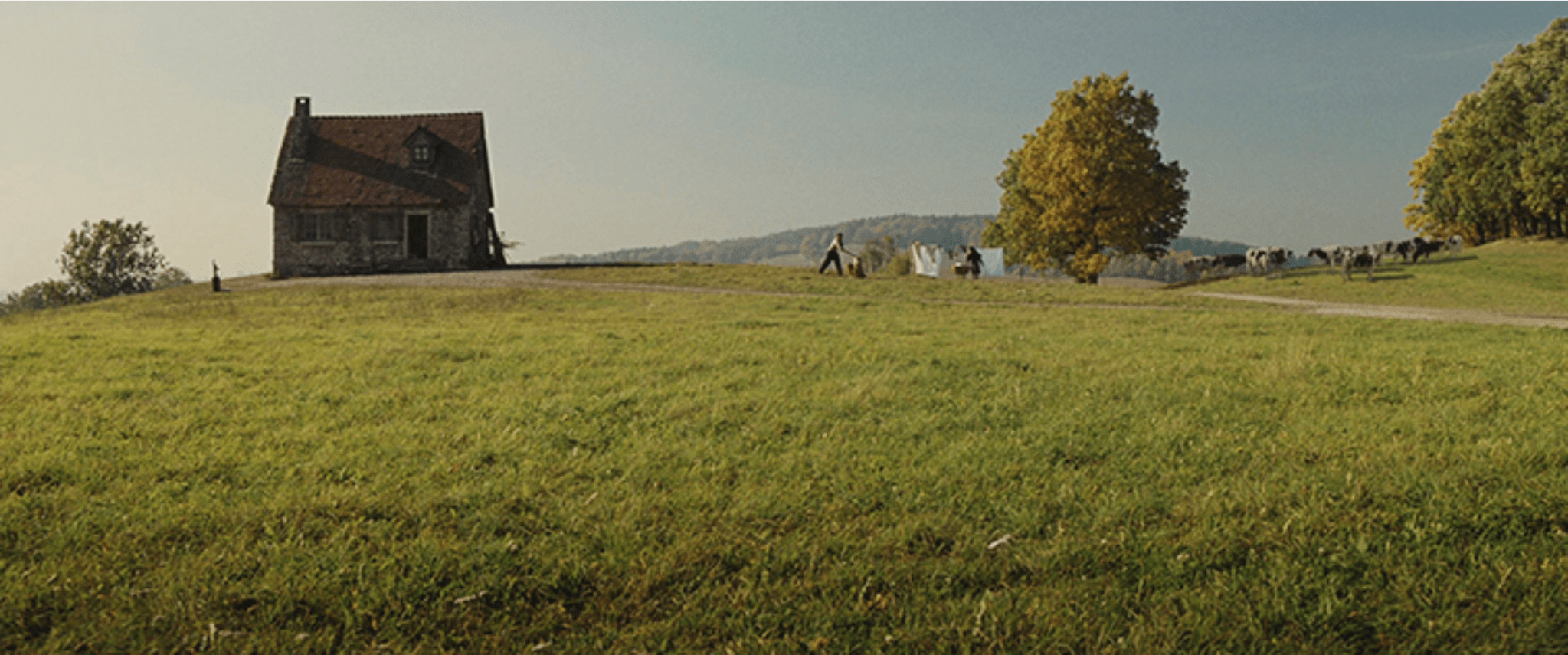 7 Basic Shot Types – Digital Cinematography